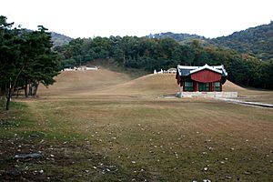 Korea-Goyang-Seosamneung Tomb-01