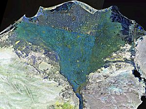 Nile delta landsat false color