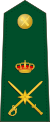 Spain-Civil Guard-OF-6.svg
