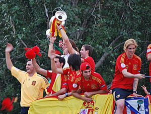 Spain Euro 08 celebration 3