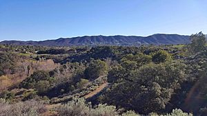 View-of-Hill-Canyon-and-Newbury-Park-Santa-Monica-Mountains-from-Mount-Clef-Ridge.jpg