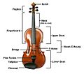 Violinconsruction3