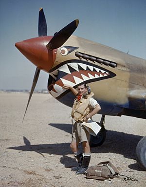 Flight Lieutenant A R Costello of No. 112 Squadron standing by his Curtiss Kittyhawk Mk I at Sidi Heneish, Egypt, April 1942. COL196