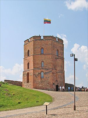 La tour de Gediminas (Vilnius) (7667471896)