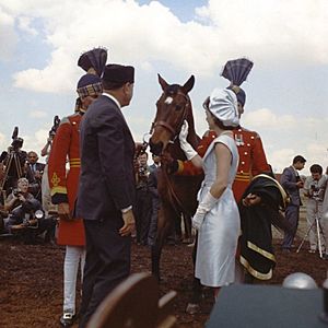 Pakistan President Mohammed Ayub Khan presents Mrs. Kennedy with a bay gelding as a gift, March 22, 1962 (cropped)