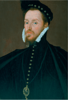 Steven van Herwijck Henry Carey 1st Baron Hunsdon.png