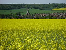 Thorigny-sur-Oreuse in spring colours