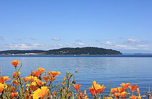 Anderson Island and Puget Sound from Steilacoom