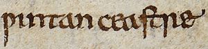 Anglo-Saxon Chronicle - Wintan ceastre (British Library Cotton MS Tiberius A VI, folio 12r)