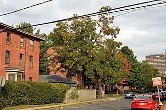 Collins and Townley Streets2.jpg