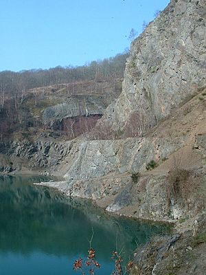 Gullet Quarry - from East - geograph.org.uk - 5651