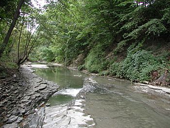 Mill Creek in City downstream from 38th.jpg