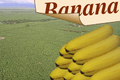 PNG demo Banana