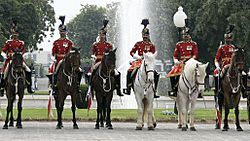 Pakistan cavalry honor guard