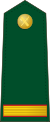 Spain-Civil Guard-OR-4.svg