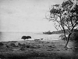 StateLibQld 1 159663 Woody Point shoreline, ca. 1876