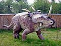 Styracosaurus Baltow 20051003 1315