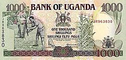 Obverse of the 1,000/= note