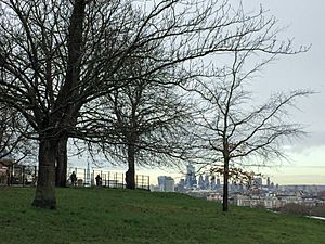 View of London City and The Shard from Greenwich Park,