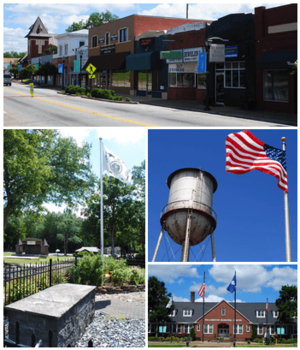 Top, left to right: Downtown Williamston, the grave of West Allen William (founder of Williamston) in Williamston Springs Mineral Park, water tower at the Williamston Mill, Williamston Municipal Center