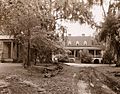 "The Eutaw," William Henry Sinkler house, Eutawville vicinity, Berkeley County, South Carolina. Drive to entrance