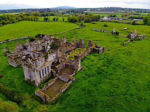Aerial photograph of Athassel Priory, May 2019.jpg
