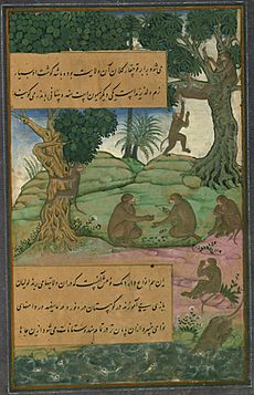 Animals of Hindustan monkeys called bandar that can be taught to do tricks, from Illuminated manuscript Baburnama (Memoirs of Babur)