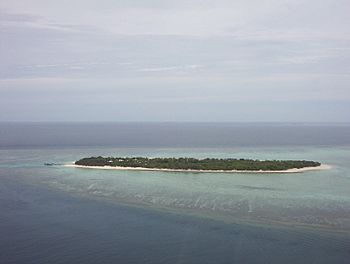 Heron Island, Australia - View of Island from helicopter.JPG