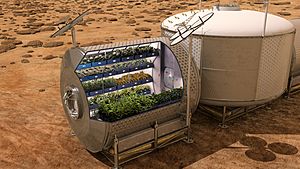Mars Food Production - Bisected