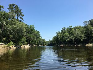 Withlacoochee River (Suwannee River tributary)