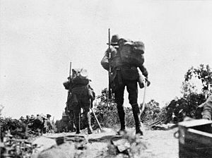 Australian troops on Plugge's Plateau