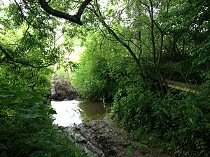 Bridleway Ford on the Eye Brook at Tugby Wood (geograph 2997822)