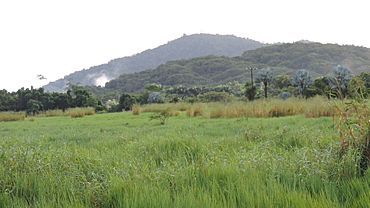 Looking north over fields from Cartwright Road, Eubenangee, 2018.jpg
