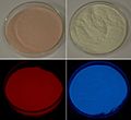 Phosphorescent pigment calcium sulfide and silicate, emitting red and blue