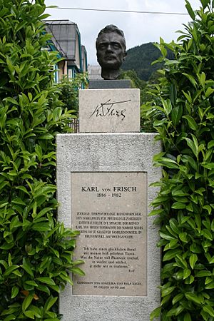 St. Gilgen, Karl von Frisch