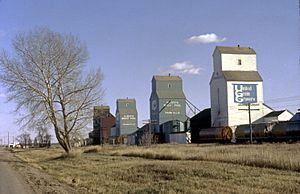 Grain elevators, circa 1980