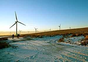 Whitelee Wind Farm (5284691105)