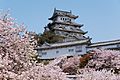 090411 Himeji Castle Hyogo pref Japan01s10