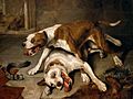 Fighting dogs catching their breath - painting