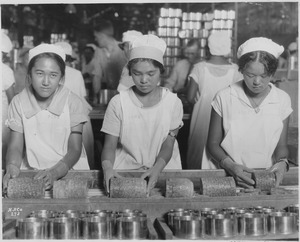Food-Hawaii-Canning. Native girls packing pineapple into cans. - NARA - 522863