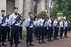 French Armed Forces2