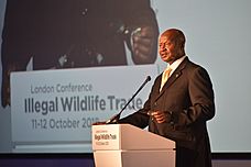Illegal Wildlife Trade Conference London 2018 (44526034314)