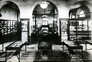 Lapworth Museum c. 1930