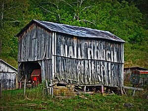 Mail Pouch Tobacco barn in Chester Township