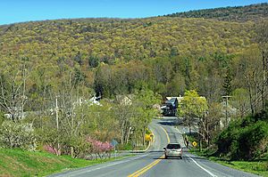 Pennsylvania Route 45 heading into Woodward