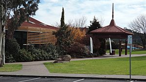 Stanthorpe library and art gallery, 2015 01