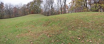 Toolesboro mounds.jpg