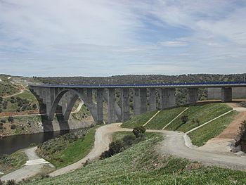 A-66. Puente sobre el río Almonte.JPG