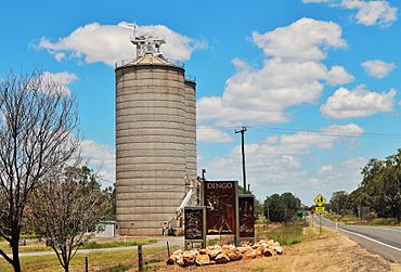 Dingo grain silos December 2017.jpg