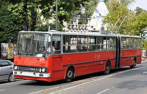Ikarus 280T Trolleybus R01